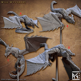 Wild Wyverns - Vanguard Fighters Guild