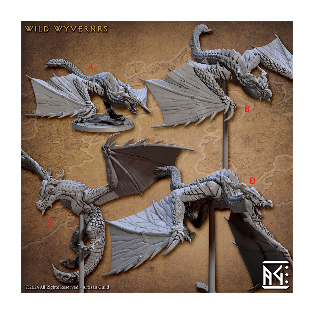 Wild Wyverns - Vanguard Fighters Guild