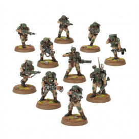 Astra Militarum: Tropas De Choque De Cadia