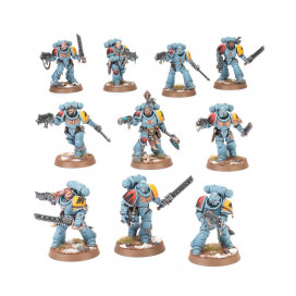 Cazadores Grises