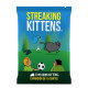Streaking Kittens (castellano)