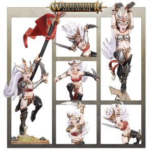 Witch Aelves