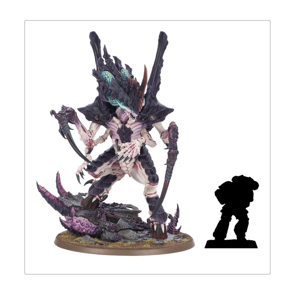 Emisario Norn