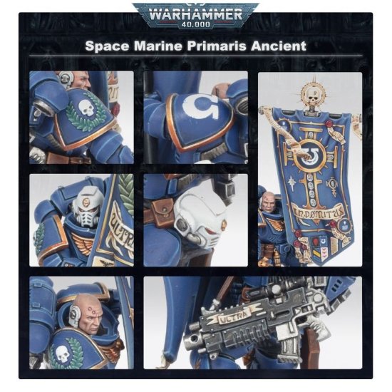 Anciano primaris