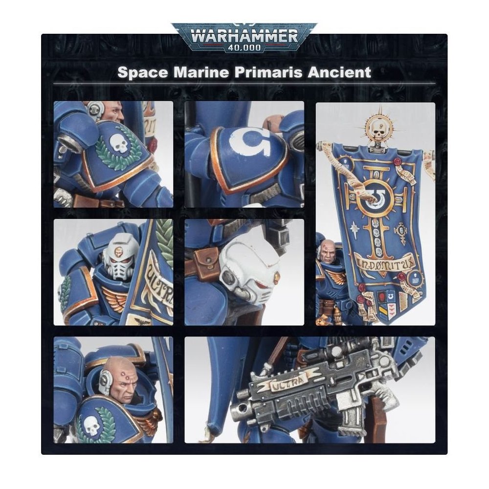 Anciano primaris
