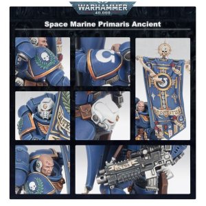 Anciano primaris