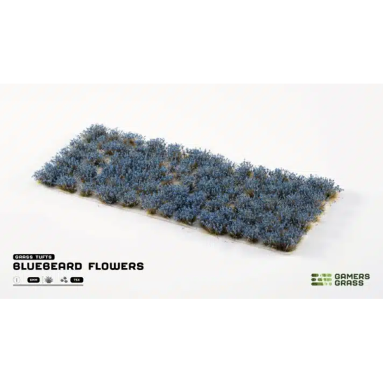 Bluebeard Flowers